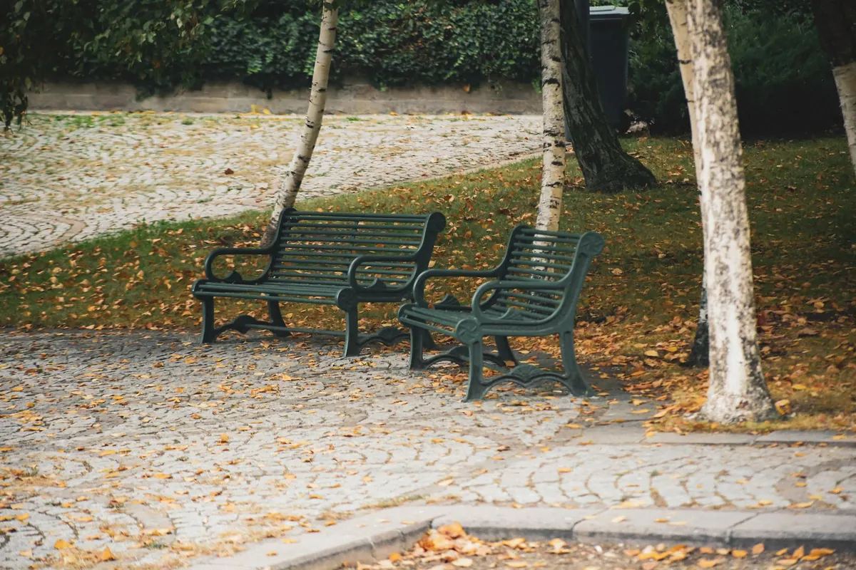 Piazza vs. Park: Comparing Two Public Space Models for Community Life